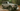 What Size Windshield Wiper Blades for Jeep Cherokee?